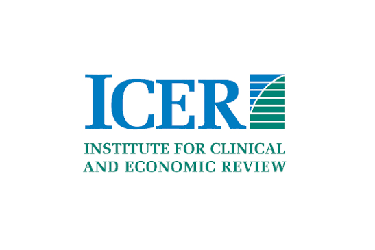 Icer logo